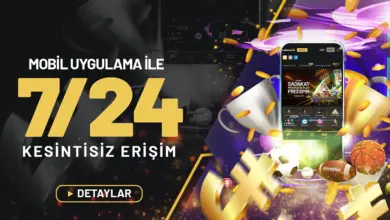 Norabahis630